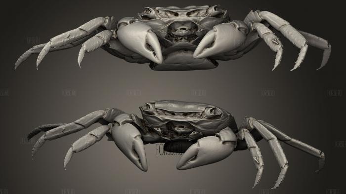 Crab stl model for CNC